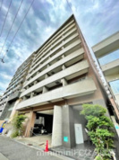 グランデールの画像