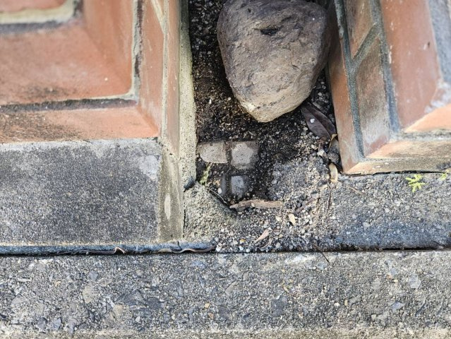 太秦安井車道町の周辺