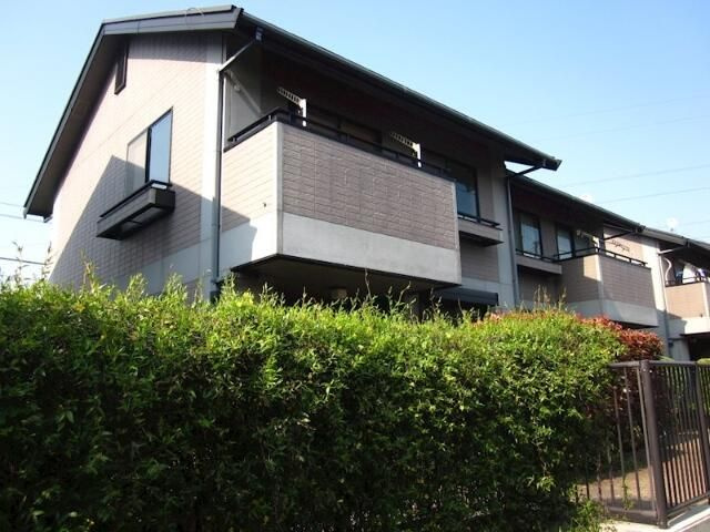 ラヴィル・ヒロの画像