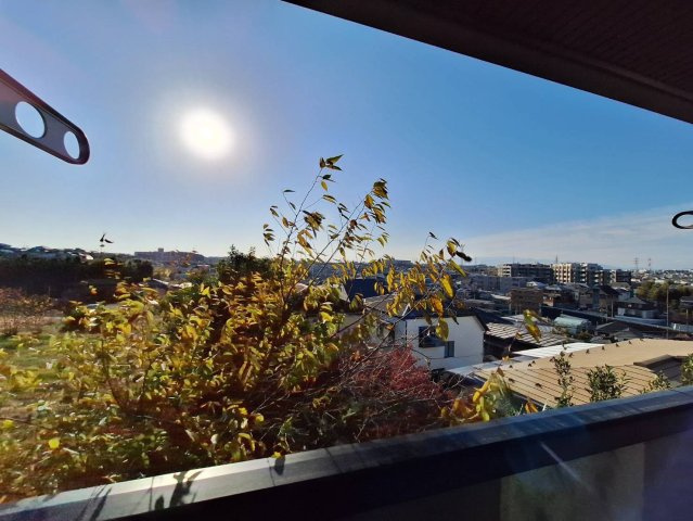 ＡＬＴＡ　ＳＴＡＧＥの展望