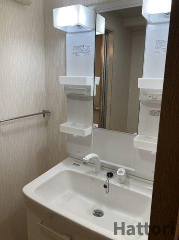 アビタシオン橋本Ⅱの洗面所