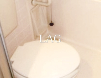 【トイレ】 | アルファウエスト | トイレです。
