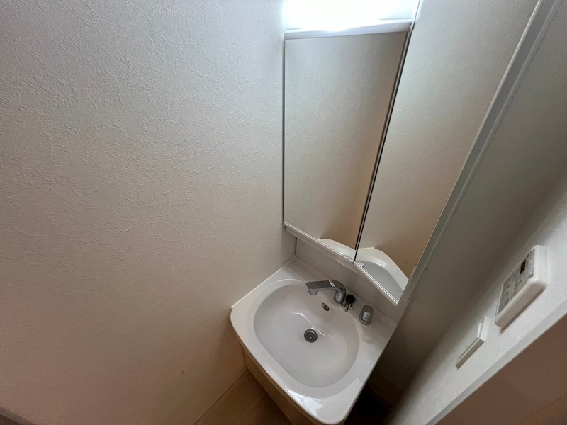 プレサンス神戸水木通ルミエスの洗面所