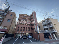 ペニーレーンの画像