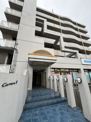 【その他】 | カレラエイト