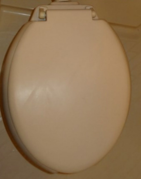 ライフピア目白台Ⅱのトイレ|トイレ（同一仕様写真）