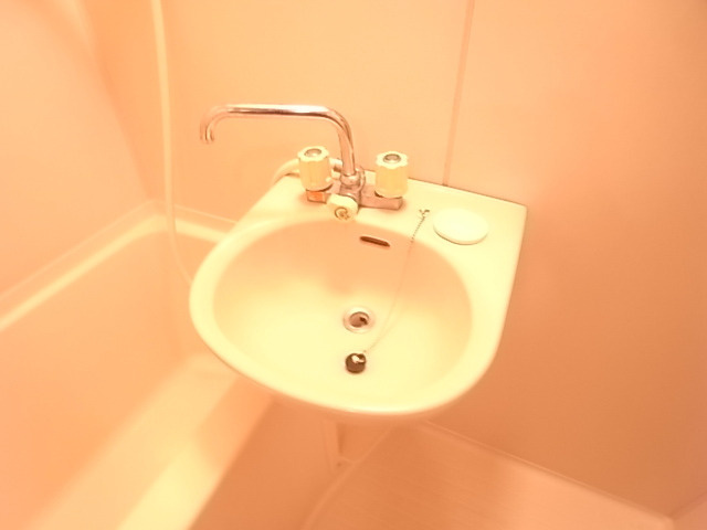 パピルスⅡの洗面所