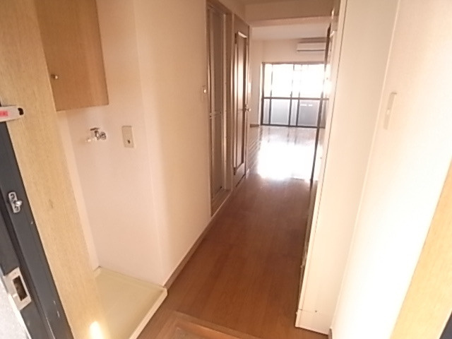 パピルスⅡのその他