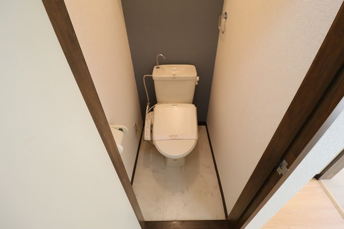 第ⅢＡＩコーポのトイレ