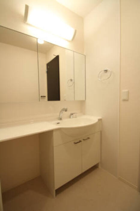 ラ・フルールＢの独立洗面台