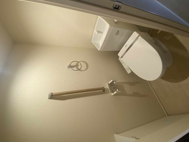 ミランダブルーアゼリアのその他