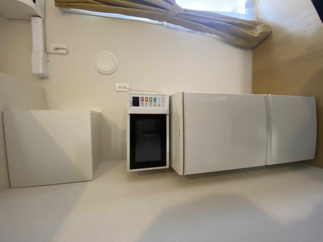 ミランダブルーアゼリアのその他