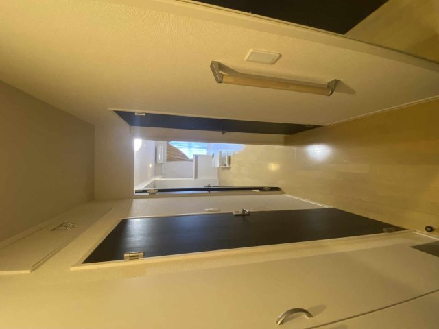 ミランダブルーアゼリアのその他