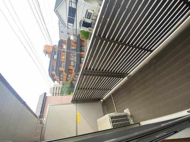 ミランダブルーアゼリアのその他