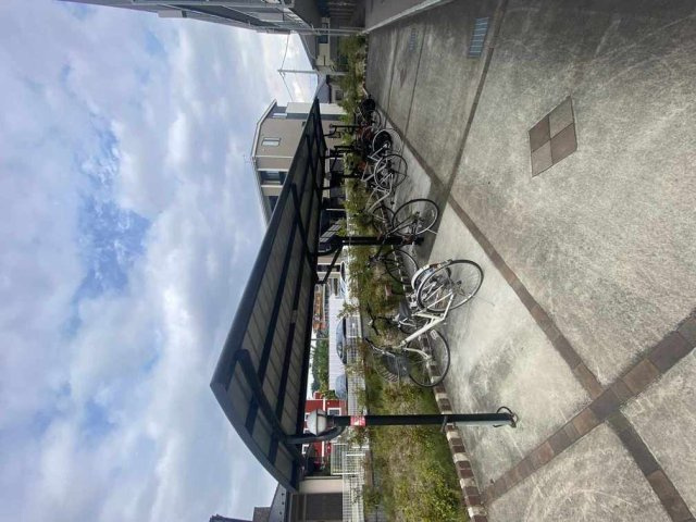 ミランダブルーアゼリアのその他