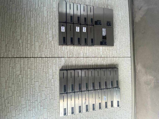 ミランダブルーアゼリアのその他