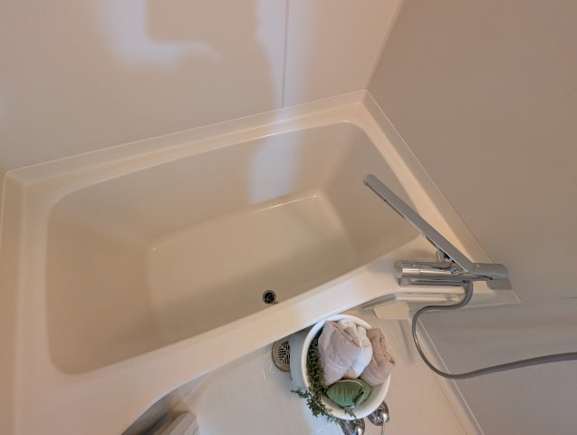 グリーンエクセル梅ノ木の浴室