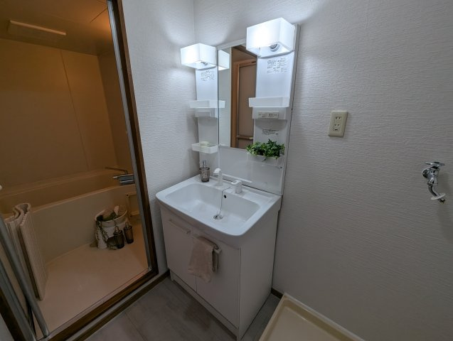 グリーンエクセル梅ノ木の洗面所