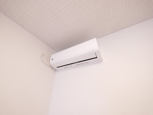 ヴェルデ　ルーチェ