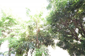 【展望】 | お部屋からの眺め