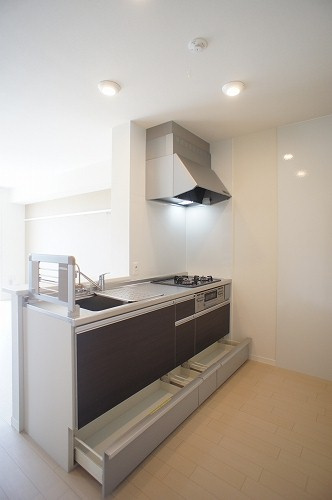 プレビアスのキッチン