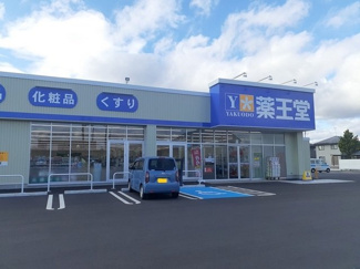 【周辺】 | アイランドヘヴンⅡ | 薬王堂まで800m