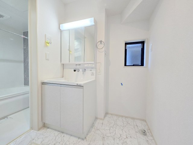 八王子市大和田町7丁目　全1棟の独立洗面台