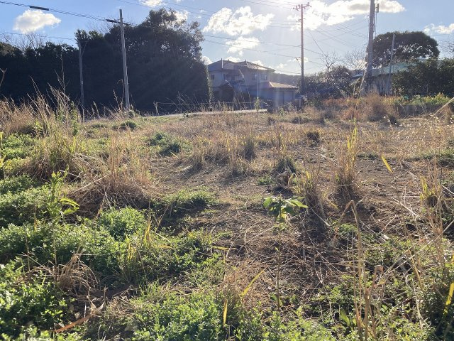南伊豆町　湊 の外観