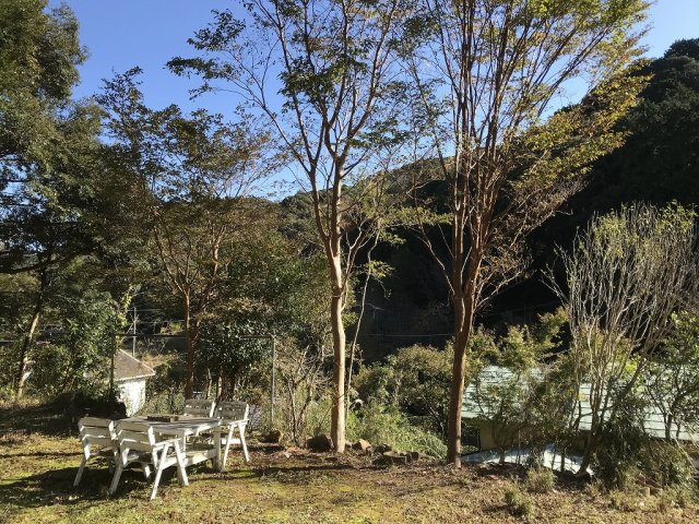 下田市　横川の庭