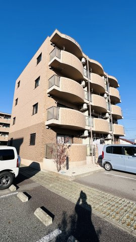 フィールドコート　ステラ