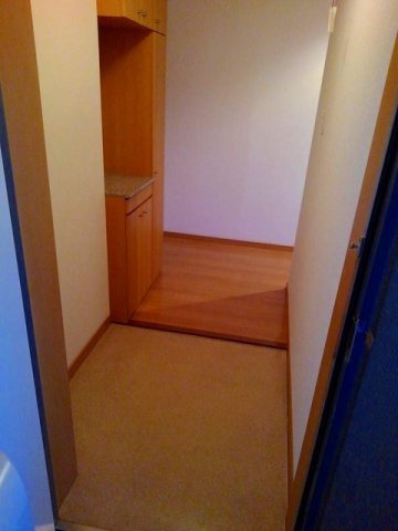 ラモーリ緑の玄関