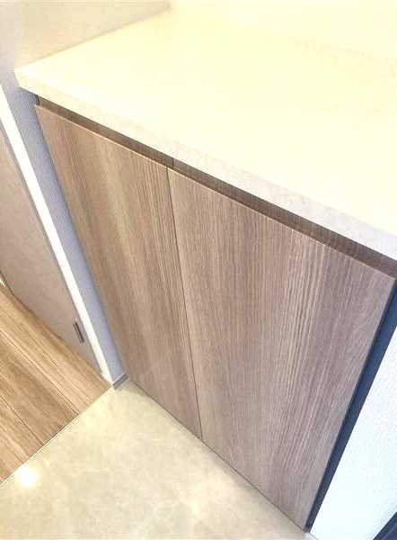 Ｓ－ＲＥＳＩＤＥＮＣＥ堀田駅前ｆｕｔｕｒの玄関