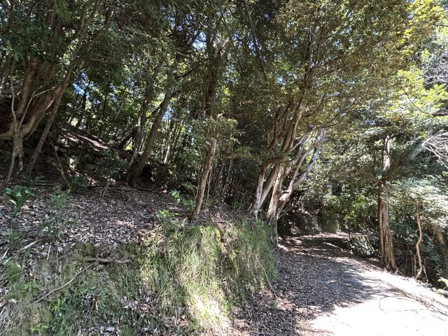 下田市　白浜