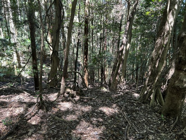 下田市　白浜の外観