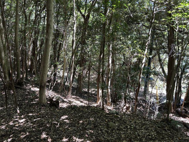 下田市　白浜の外観