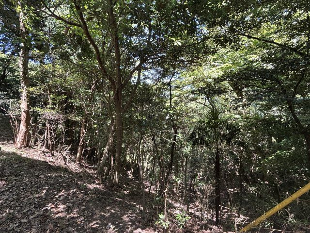 下田市　白浜の外観