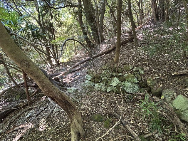 下田市　白浜の外観