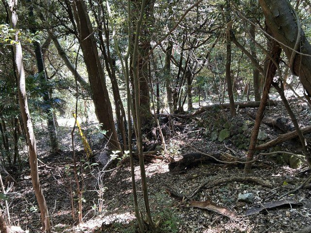 下田市　白浜の外観