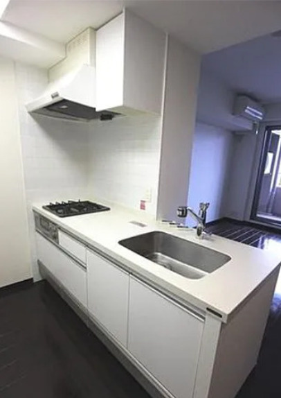 クリオ上野毛ラ・モード　敷金礼金0　フリーレント　ペット相談　駅近のキッチン