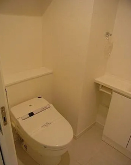 クリオ上野毛ラ・モード　敷金礼金0　フリーレント　ペット相談　駅近のトイレ