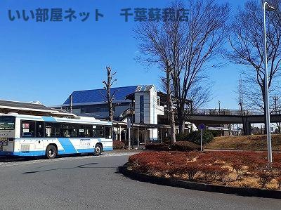 コーラルⅠのその他