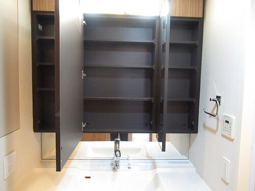 ザ・スカイクルーズタワーの洗面所|洗面台収納