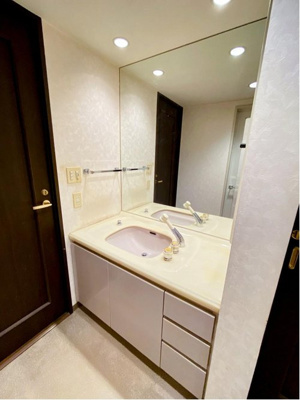 【独立洗面台】 | パーク・ハイム中央林間一丁目 | 独立洗面台で身支度をすべて済ませてしまいましょう