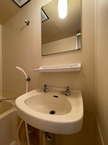 メゾン・ド・上高丸の洗面所