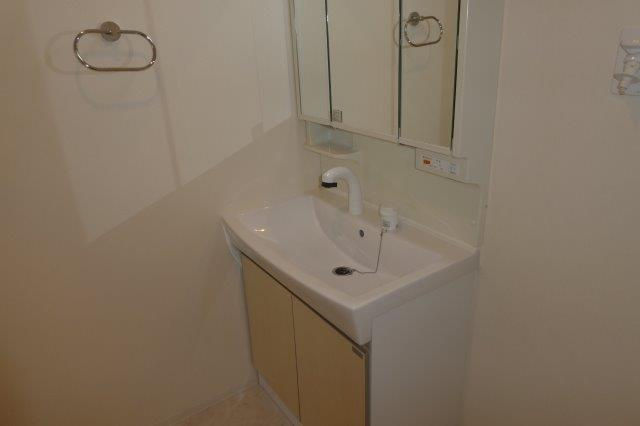 レーベンプラッツの独立洗面台|シャンプードレッサー