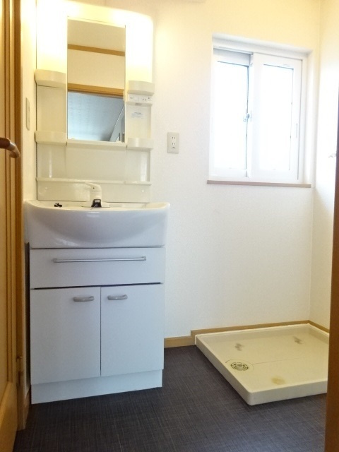 ネオ イグチの洗面所