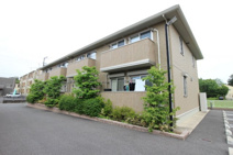 チェリーウェルの画像