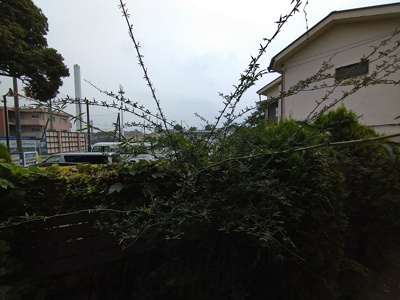 【その他】 | レオパレスＤＥＡＲＥＳＴ