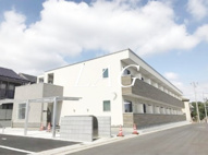 ペルシーモの画像