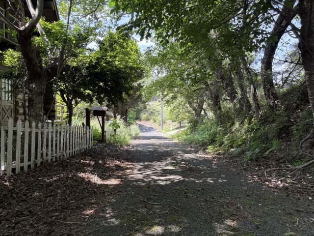 河津町　天子平別荘地の前面道路含む現地写真